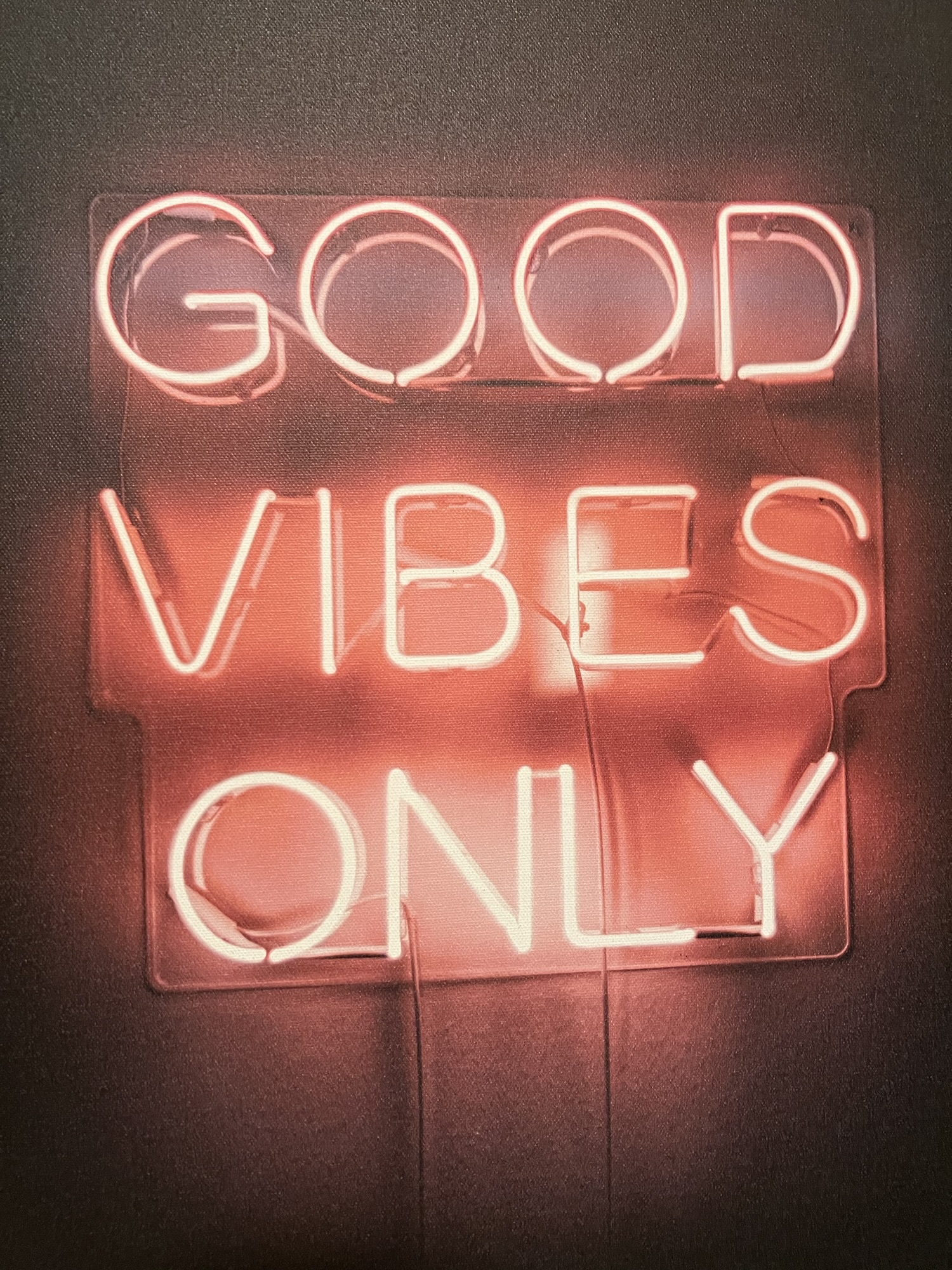 Lorraine Kaiser: Your next favorite actress